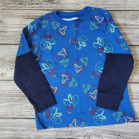 Hanna Andersson Organic Cotton Christmas Holiday Dinosaur Top Size 110/ US 5 EUC - Picture 1 of 3